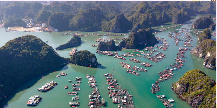 khach-san-cat-ba-vela-cat-ba-beach-nghi-duong-chuan-5-sao-ben-bai-cat-co-3420